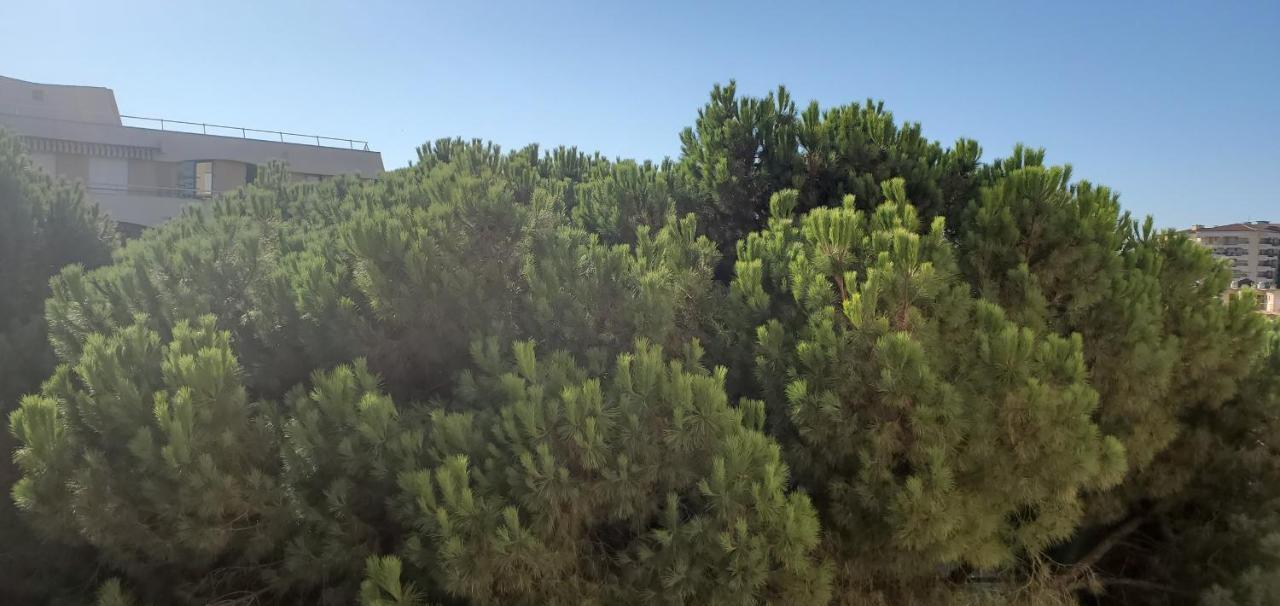 Frejus Plage La Miougrano, T2-3 49M2, 5 Personn Exterior photo